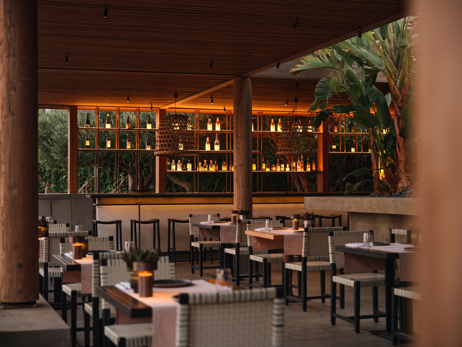 Amar cocktails and wines